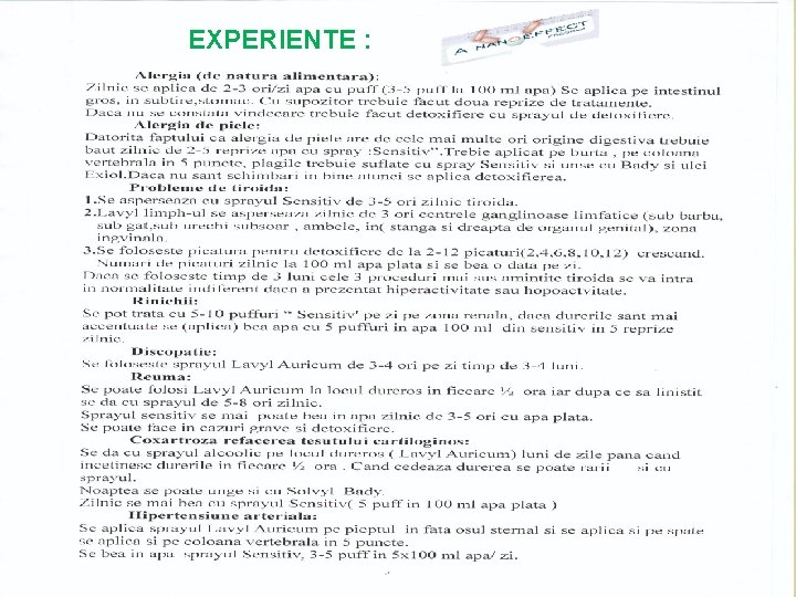 EXPERIENTE : EXPERIENTE :