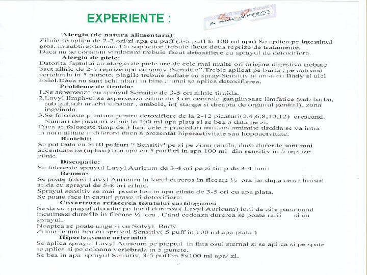 EXPERIENTE : 