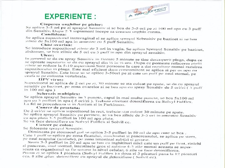 EXPERIENTE : EXPERIENTE :