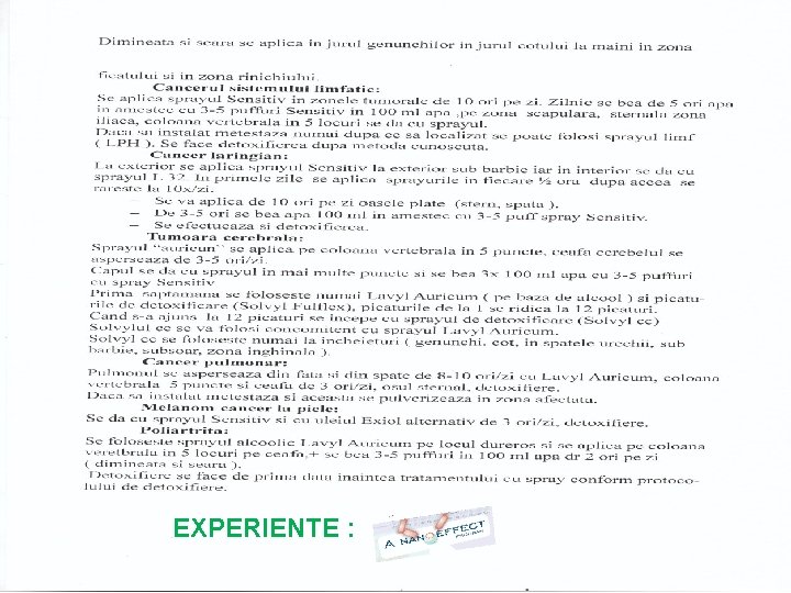 EXPERIENTE : 