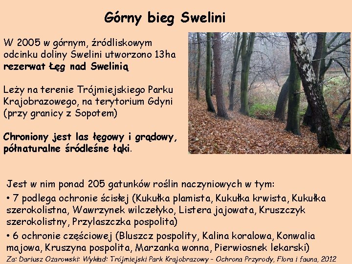 Górny bieg Swelini W 2005 w górnym, źródliskowym odcinku doliny Swelini utworzono 13 ha