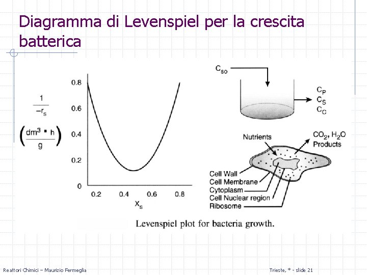 Diagramma di Levenspiel per la crescita batterica Reattori Chimici – Maurizio Fermeglia Trieste, *