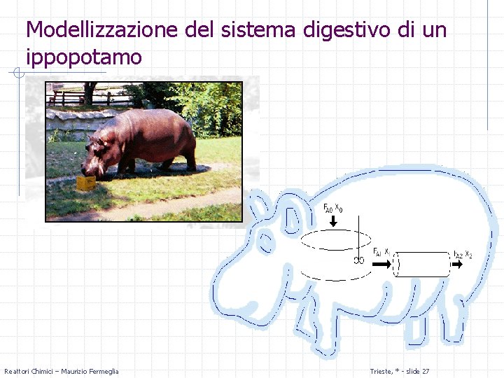 Modellizzazione del sistema digestivo di un ippopotamo Reattori Chimici – Maurizio Fermeglia Trieste, *