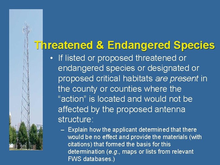 Threatened & Endangered Species • If listed or proposed threatened or endangered species or