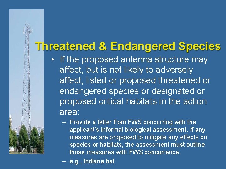 Threatened & Endangered Species • If the proposed antenna structure may affect, but is