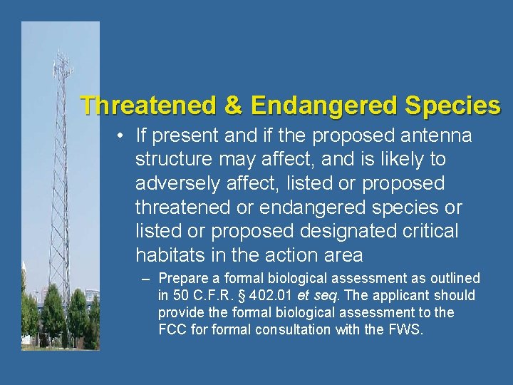 Threatened & Endangered Species • If present and if the proposed antenna structure may