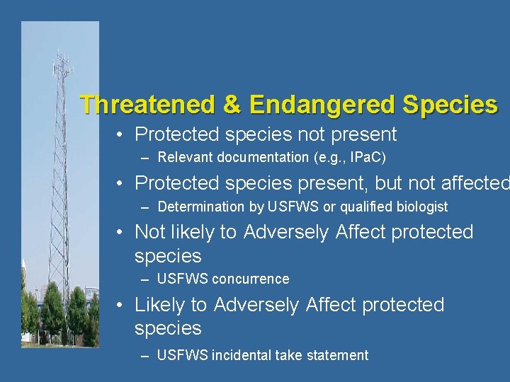 Threatened & Endangered Species • Protected species not present – Relevant documentation (e. g.