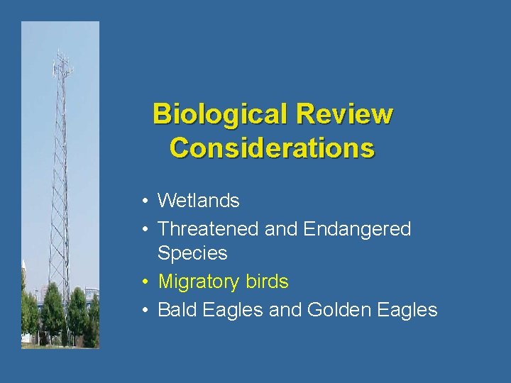 Biological Review Considerations • Wetlands • Threatened and Endangered Species • Migratory birds •