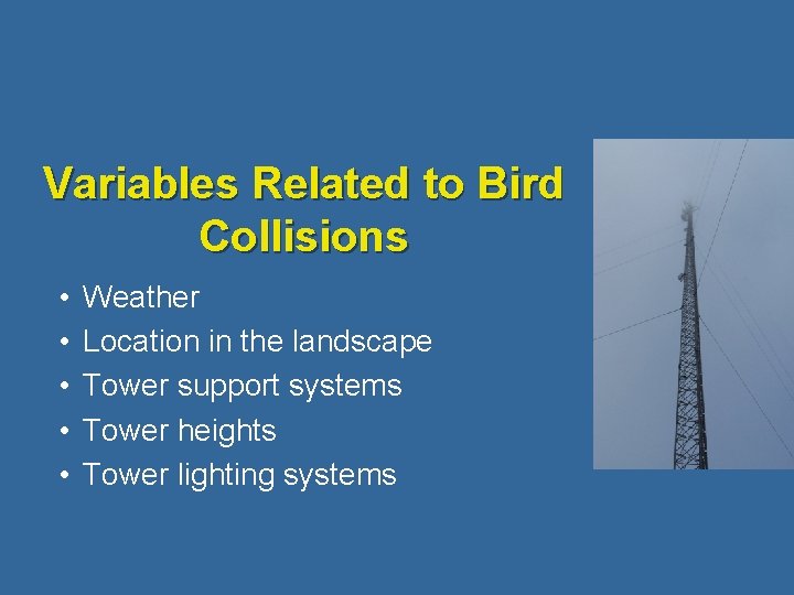 Variables Related to Bird Collisions • • • Weather Location in the landscape Tower