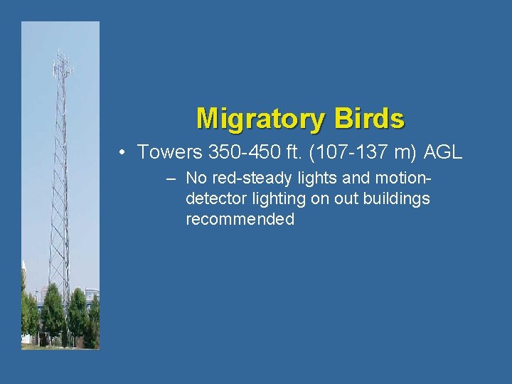 Migratory Birds • Towers 350 -450 ft. (107 -137 m) AGL – No red-steady