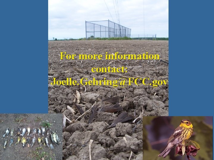 For more information contact: Joelle. Gehring@FCC. gov 