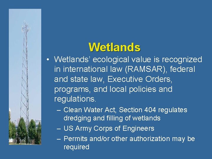 Wetlands • Wetlands’ ecological value is recognized in international law (RAMSAR), federal and state