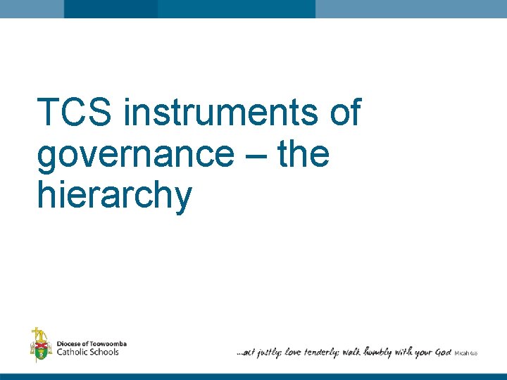 TCS instruments of governance – the hierarchy 