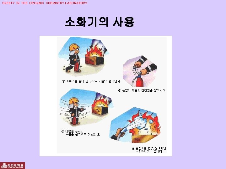 SAFETY IN THE ORGANIC CHEMISTRY LABORATORY 소화기의 사용 