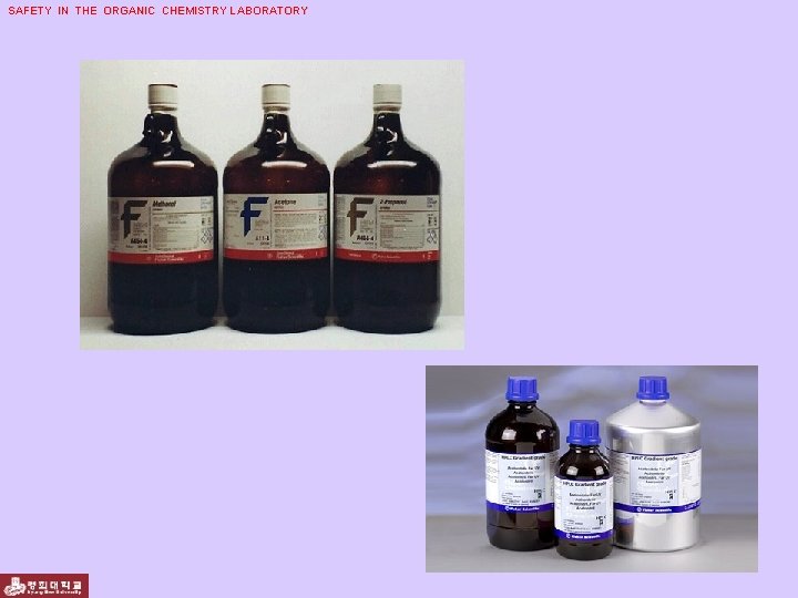 SAFETY IN THE ORGANIC CHEMISTRY LABORATORY 