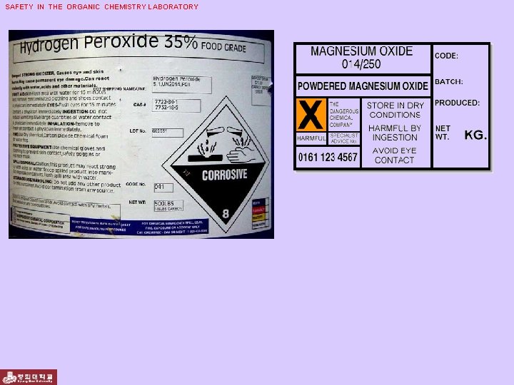 SAFETY IN THE ORGANIC CHEMISTRY LABORATORY 