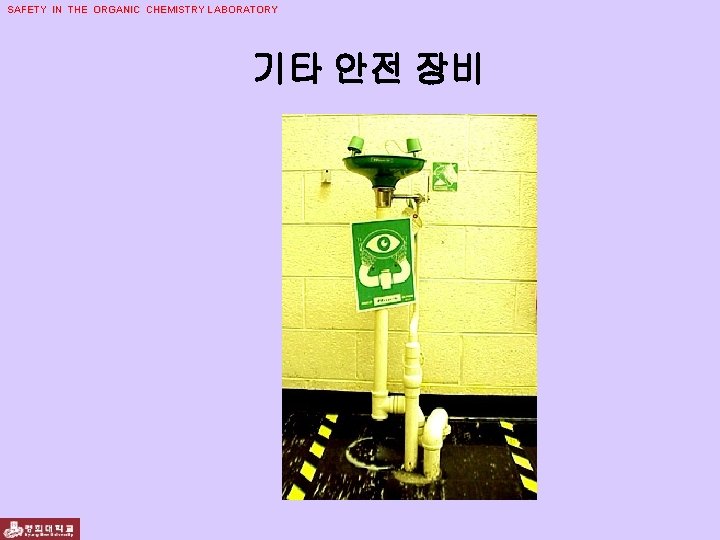 SAFETY IN THE ORGANIC CHEMISTRY LABORATORY 기타 안전 장비 