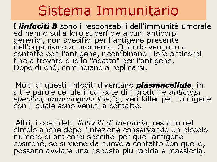 Sistema Immunitario I linfociti B sono i responsabili dell'immunità umorale ed hanno sulla loro