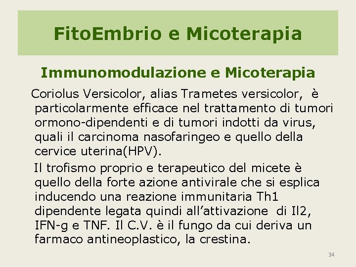 Fito. Embrio e Micoterapia Immunomodulazione e Micoterapia Coriolus Versicolor, alias Trametes versicolor, è particolarmente