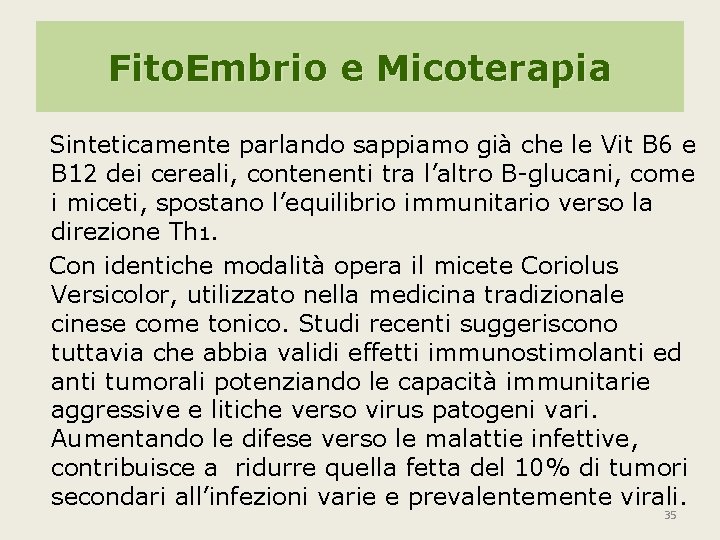 Fito. Embrio e Micoterapia Sinteticamente parlando sappiamo già che le Vit B 6 e