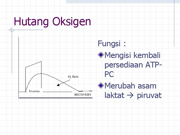 Hutang Oksigen Fungsi : Mengisi kembali persediaan ATPPC Merubah asam laktat piruvat 