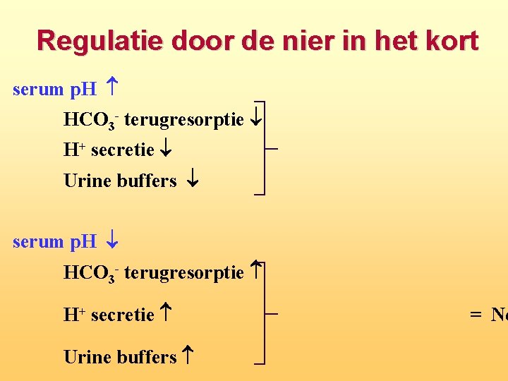 Regulatie door de nier in het kort serum p. H HCO 3 - terugresorptie