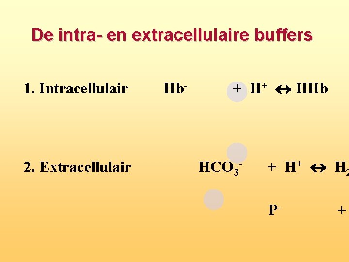 De intra en extracellulaire buffers 1. Intracellulair 2. Extracellulair Hb- + H+ HHb HCO