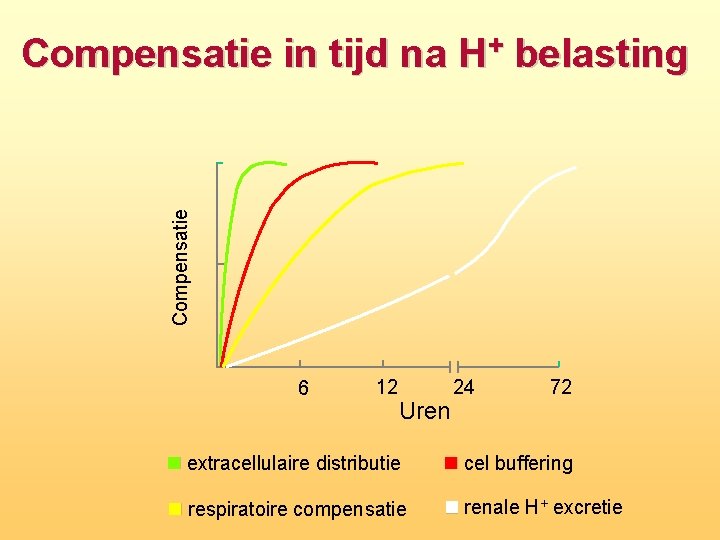 Compensatie in tijd na H+ belasting 6 12 Uren 24 72 n extracellulaire distributie