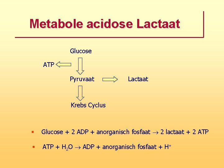 Metabole acidose Lactaat Glucose ATP Pyruvaat Lactaat Krebs Cyclus § Glucose + 2 ADP