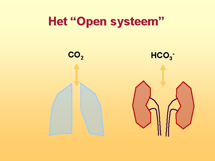 Het “Open systeem” CO 2 HCO 3 
