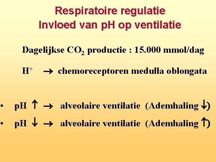 Respiratoire regulatie Invloed van p. H op ventilatie Dagelijkse CO 2 productie : 15.