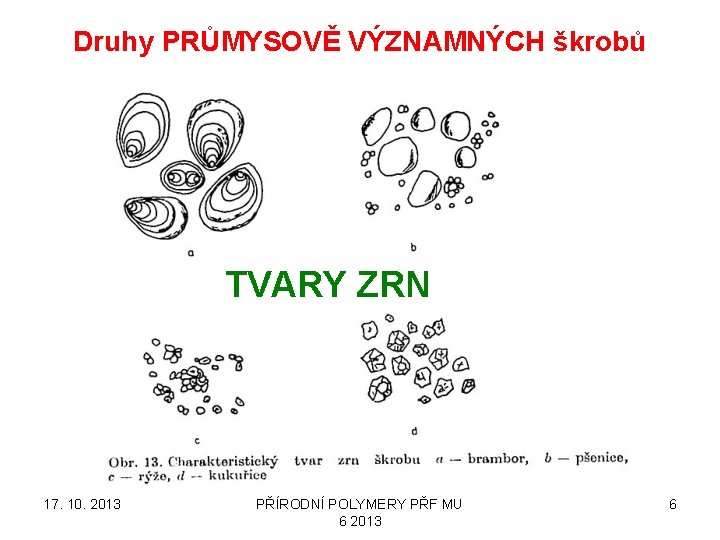 Druhy PRŮMYSOVĚ VÝZNAMNÝCH škrobů TVARY ZRN 17. 10. 2013 PŘÍRODNÍ POLYMERY PŘF MU 6