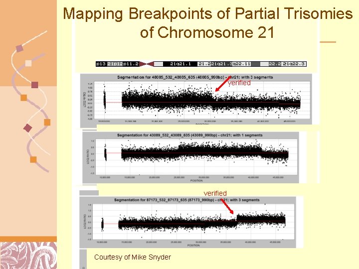 Mapping Breakpoints of Partial Trisomies of Chromosome 21 verified Courtesy of Mike Snyder Doug