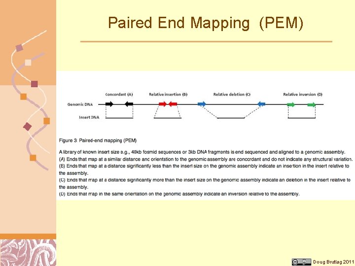 Paired End Mapping (PEM) Doug Brutlag 2011 