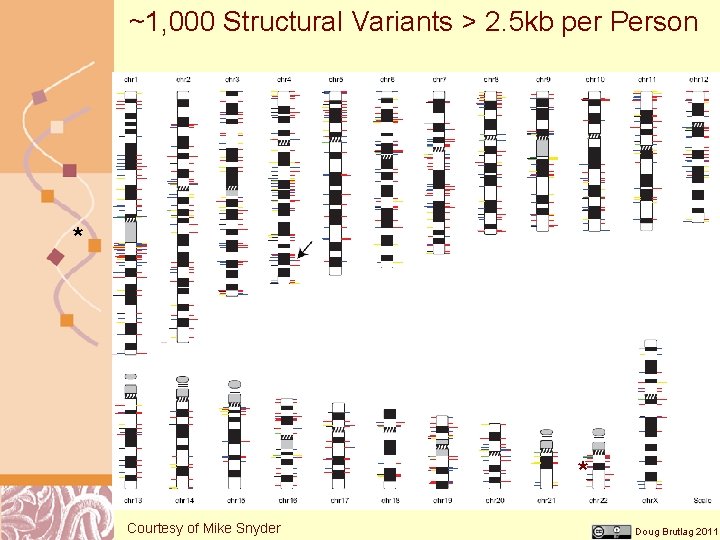 ~1, 000 Structural Variants > 2. 5 kb per Person * * Courtesy of
