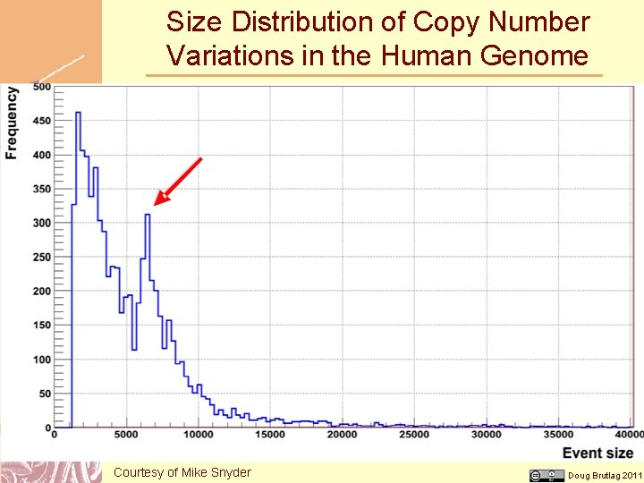 Size Distribution of Copy Number Variations in the Human Genome Courtesy of Mike Snyder