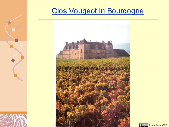 Clos Vougeot in Bourgogne Doug Brutlag 2011 