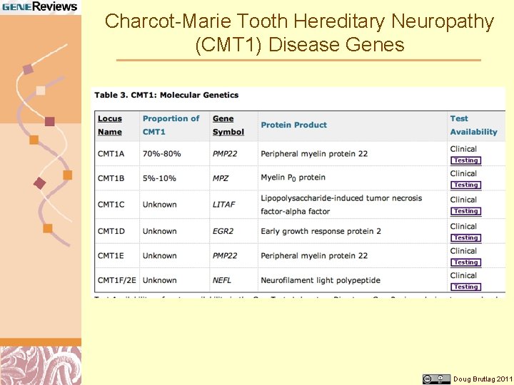 Charcot-Marie Tooth Hereditary Neuropathy (CMT 1) Disease Genes Doug Brutlag 2011 