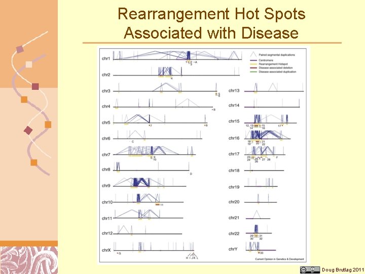 Rearrangement Hot Spots Associated with Disease Doug Brutlag 2011 