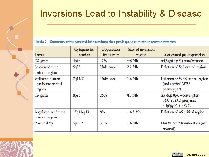 Inversions Lead to Instability & Disease Doug Brutlag 2011 