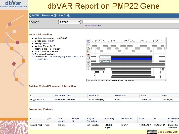 db. VAR Report on PMP 22 Gene Doug Brutlag 2011 