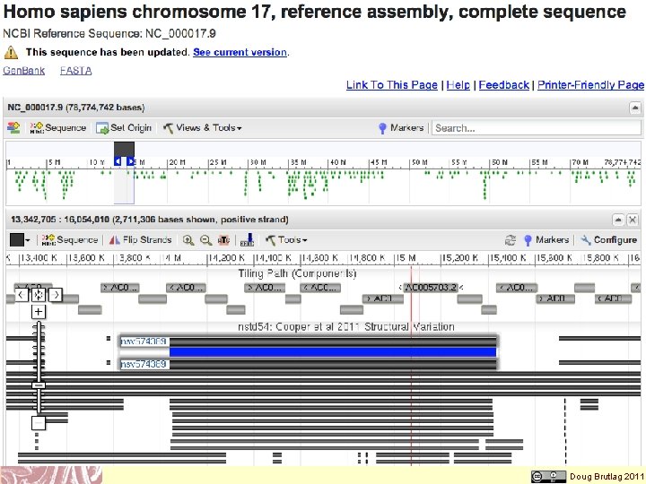 db. VAR Report on PMP 22 Gene Doug Brutlag 2011 