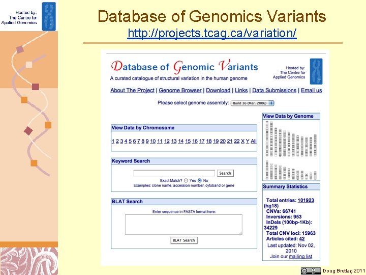 Database of Genomics Variants http: //projects. tcag. ca/variation/ Doug Brutlag 2011 