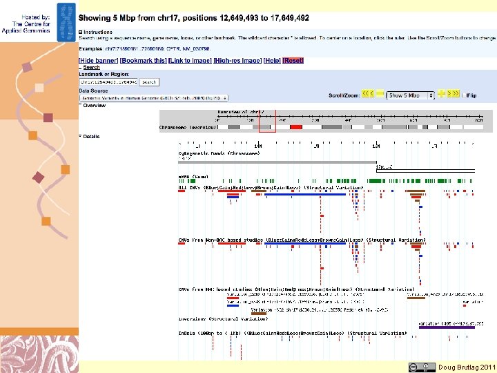 Database of Genomics Variants Browser http: //projects. tcag. ca/cgi-bin/variation/gbrowse/hg 18/ Doug Brutlag 2011 