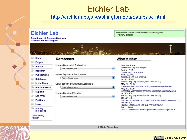 Eichler Lab http: //eichlerlab. gs. washington. edu/database. html Doug Brutlag 2011 