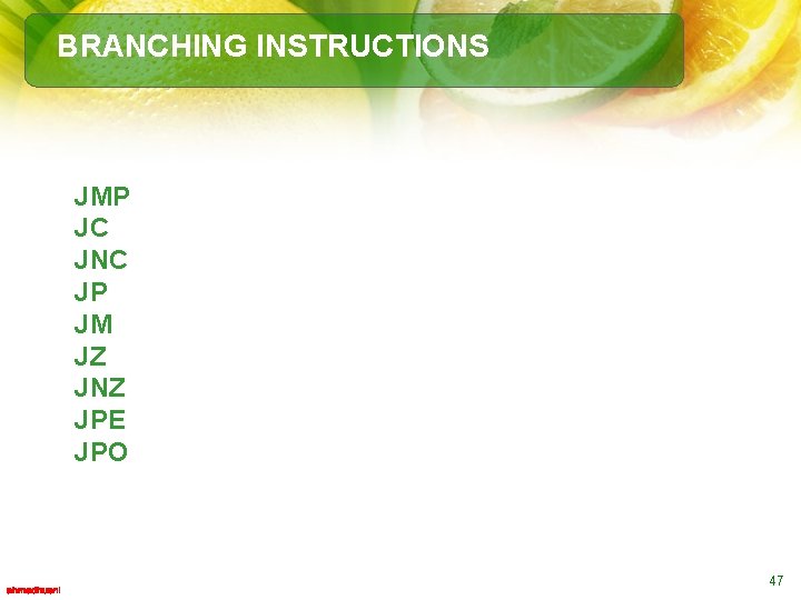 BRANCHING INSTRUCTIONS JMP JC JNC JP JM JZ JNZ JPE JPO Jump unconditionally Jump