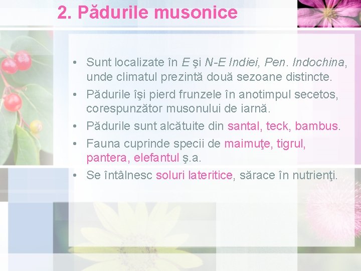 2. Pădurile musonice • Sunt localizate în E şi N-E Indiei, Pen. Indochina, unde