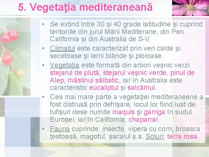 5. Vegetaţia mediteraneană • Se extind între 30 şi 40 grade latitudine şi cuprind