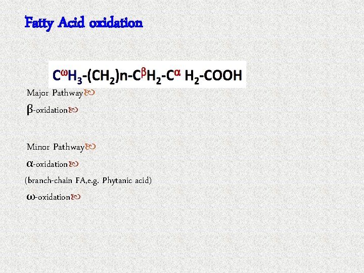 Fatty Acid oxidation Major Pathway β-oxidation Minor Pathway α-oxidation (branch-chain FA, e. g. Phytanic