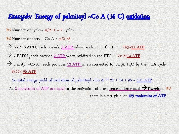 Example: Energy of palmitoyl ~Co A (16 C) oxidation Number of cycles= n/2 -1